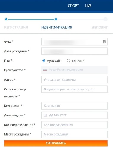 Указание ФИО 